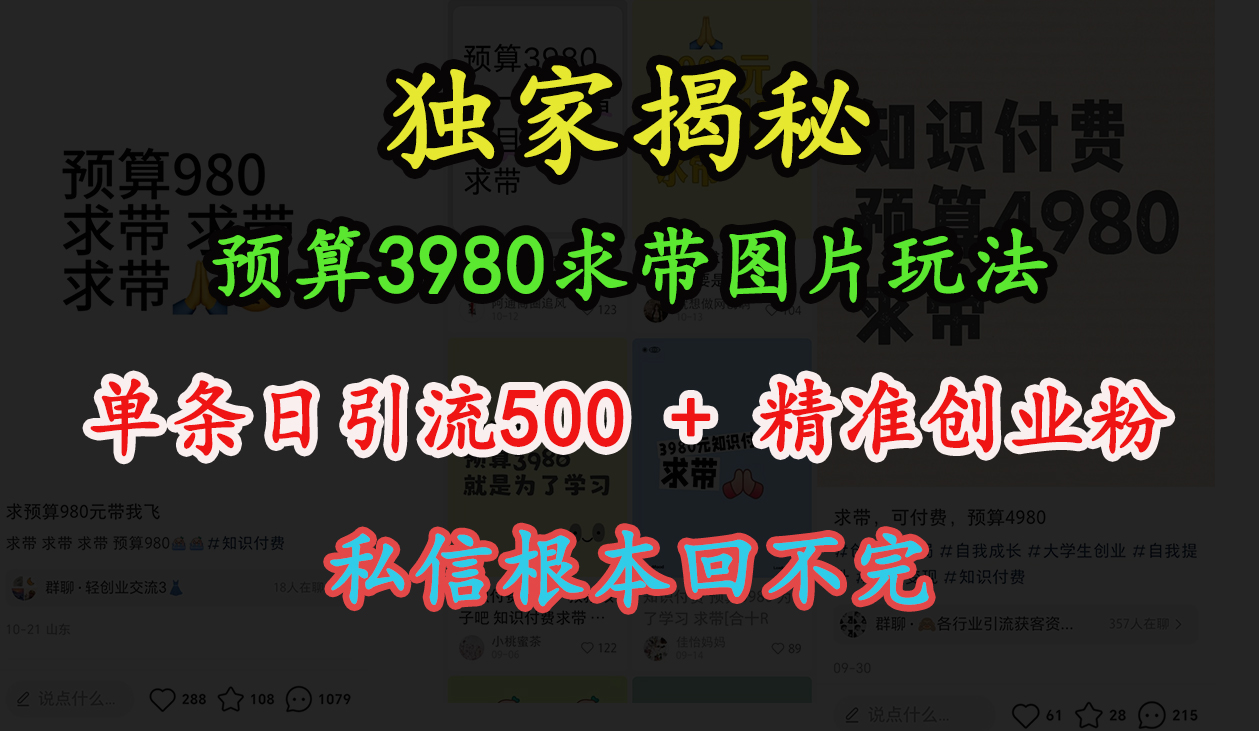 “小红书”预算3980求带 图片玩法，单条日引流500+精准创业粉，私信根本回不完-聚英社副业网