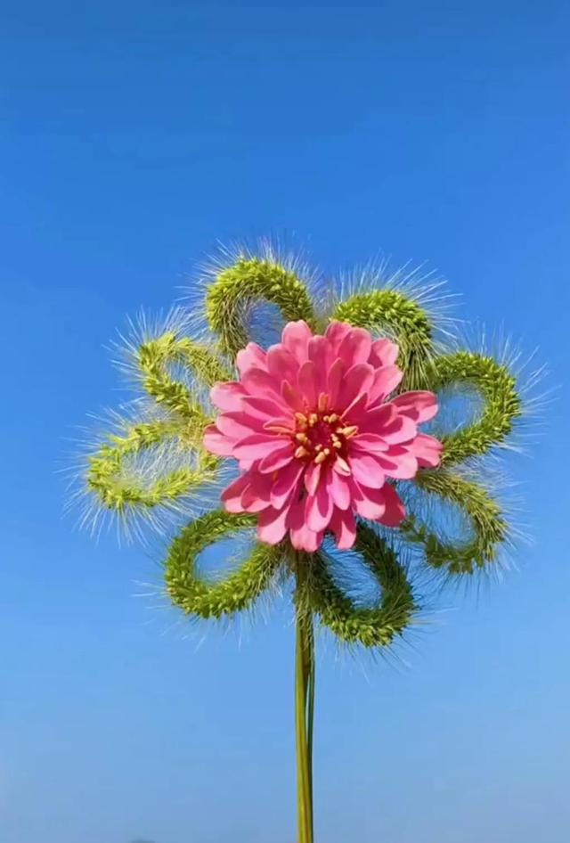 兼职刷单被骗的经历（兼职刷单是如何骗人的）插图3