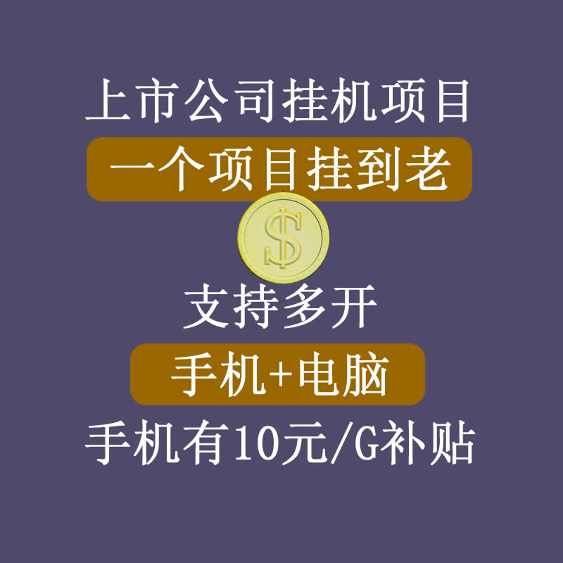 【副业项目3755期】睿思挂机项目，一个项目挂到老，支持手机+电脑+虚拟机多开插图1