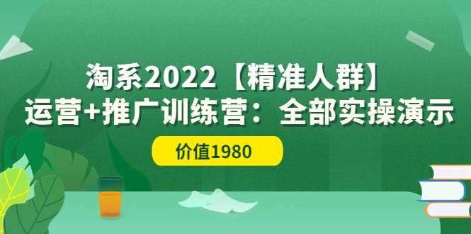 【副业项目3941期】淘系2022【精准人群】运营+推广训练营：全部实操演示-聚英社副业网