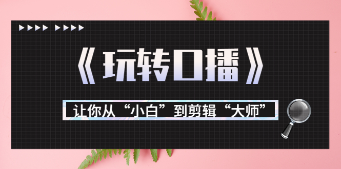 【副业项目3987期】月营业额700万+大佬教您《玩转口播》让你从“小白”到剪辑“大师”-聚英社副业网