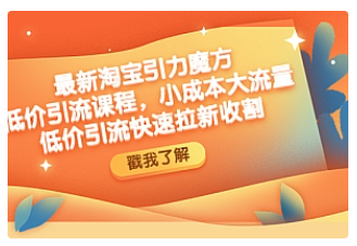 【副业项目4943期】最新淘宝引力魔方低价引流实操：小成本大流量，低价引流快速拉新收割-聚英社副业网