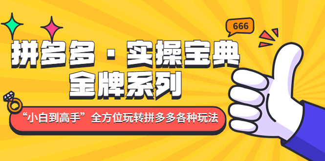 【副业项目5130期】拼多多·实操宝典：金牌系列“小白到高手”带你全方位玩转拼多多各种玩法-聚英社副业网