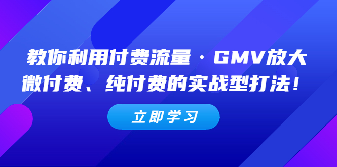 【副业项目5265期】教你利用付费流量·GMV放大，微付费、纯付费的实战型打法-聚英社副业网