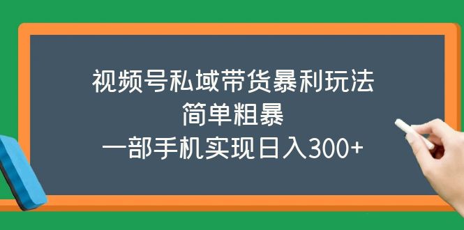 【副业项目5627期】视频号私域带货暴利玩法，简单粗暴，一部手机实现日入300+-聚英社副业网