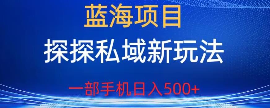 【副业项目6894期】蓝海项目，探探私域新玩法，一部手机日入500+很轻松【揭秘】-聚英社副业网