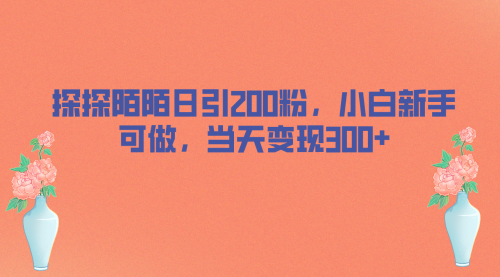 【副业项目7026期】探探陌陌日引200粉，小白新手可做，当天就能变现300+-聚英社副业网