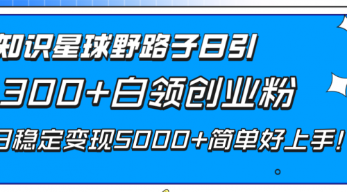 【副业项目8492期】知识星球野路子日引300+白领创业粉-聚英社副业网