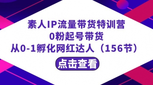 【副业8847期】繁星·计划素人IP流量带货特训营：0粉起号带货 从0-1孵化网红达人（156节）-聚英社副业网