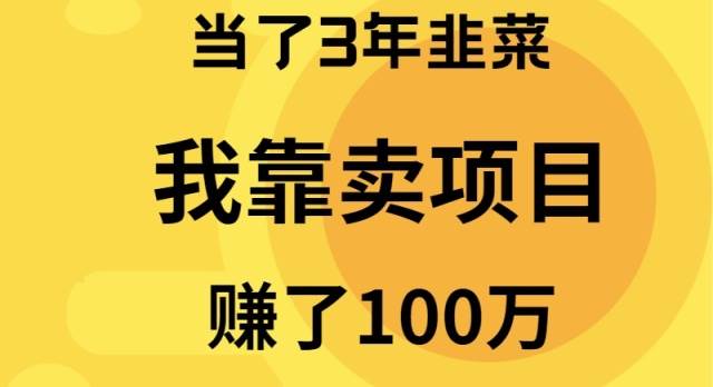 当了3年韭菜，我靠卖项目赚了100万-聚英社副业网