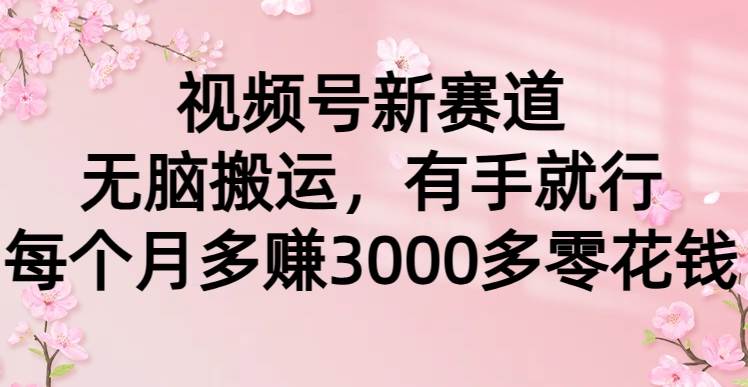 视频号新赛道，无脑搬运，有手就行，每个月多赚3000多零花钱-聚英社副业网