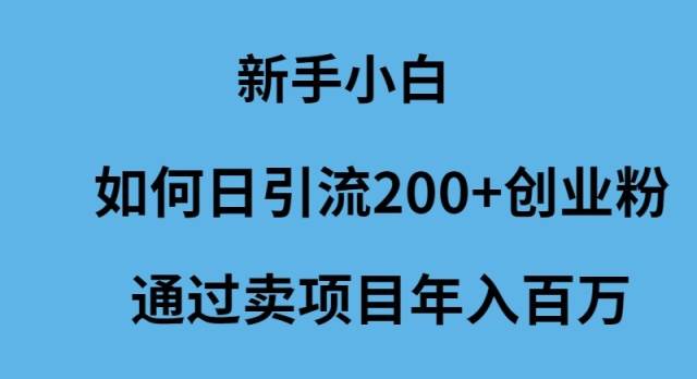 新手小白如何日引流200+创业粉通过卖项目年入百万-聚英社副业网