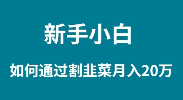 新手小白如何通过割韭菜月入 20W-聚英社副业网