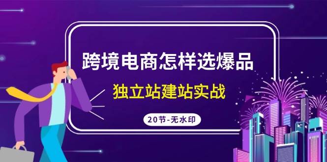 跨境电商怎样选爆品，独立站建站实战（20节高清无水印课）-聚英社副业网