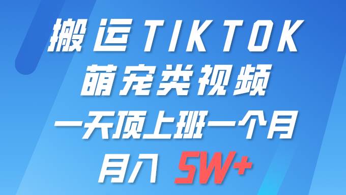 一键搬运TIKTOK萌宠类视频 一部手机即可操作 所有平台均可发布 轻松月入5W+-聚英社副业网