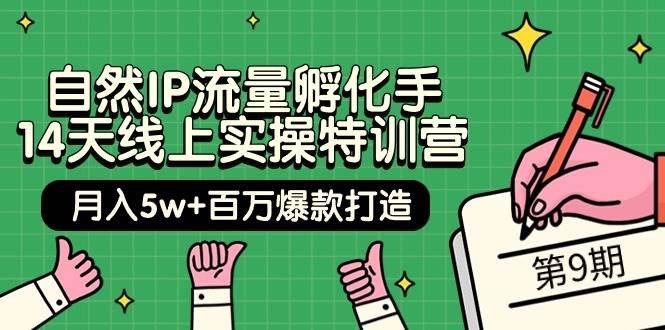 自然IP流量孵化手 14天线上实操特训营【第9期】月入5w+百万爆款打造 (74节)-聚英社副业网