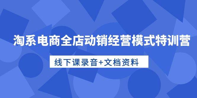 淘系电商全店动销经营模式特训营，线下课录音+文档资料-聚英社副业网