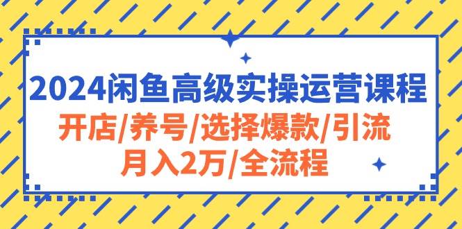 2024闲鱼高级实操运营课程：开店/养号/选择爆款/引流/月入2万/全流程-聚英社副业网