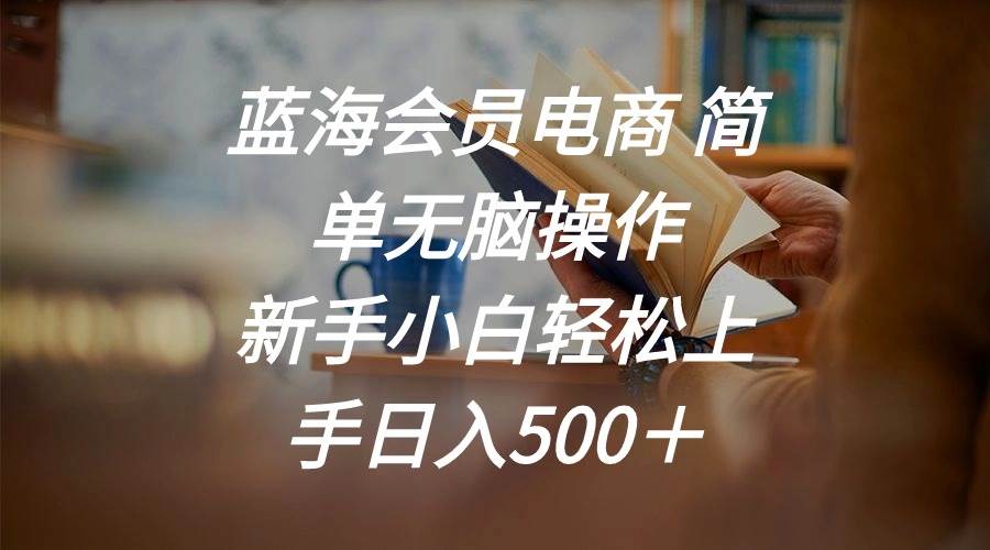 蓝海会员电商 简单无脑操作 新手小白轻松上手日入500＋-聚英社副业网